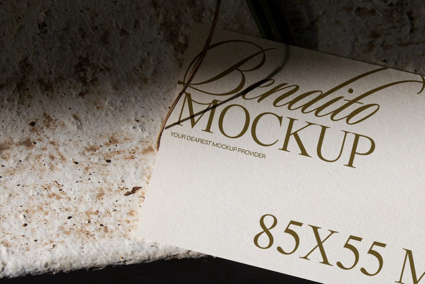 Business Card D 03 Mockup preview 2