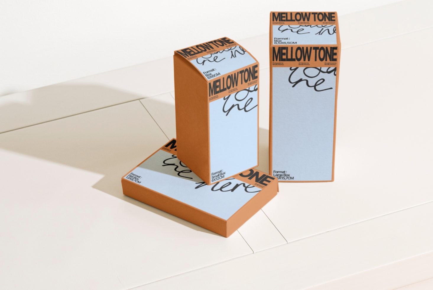 Packaging MT03 Mockup preview 2