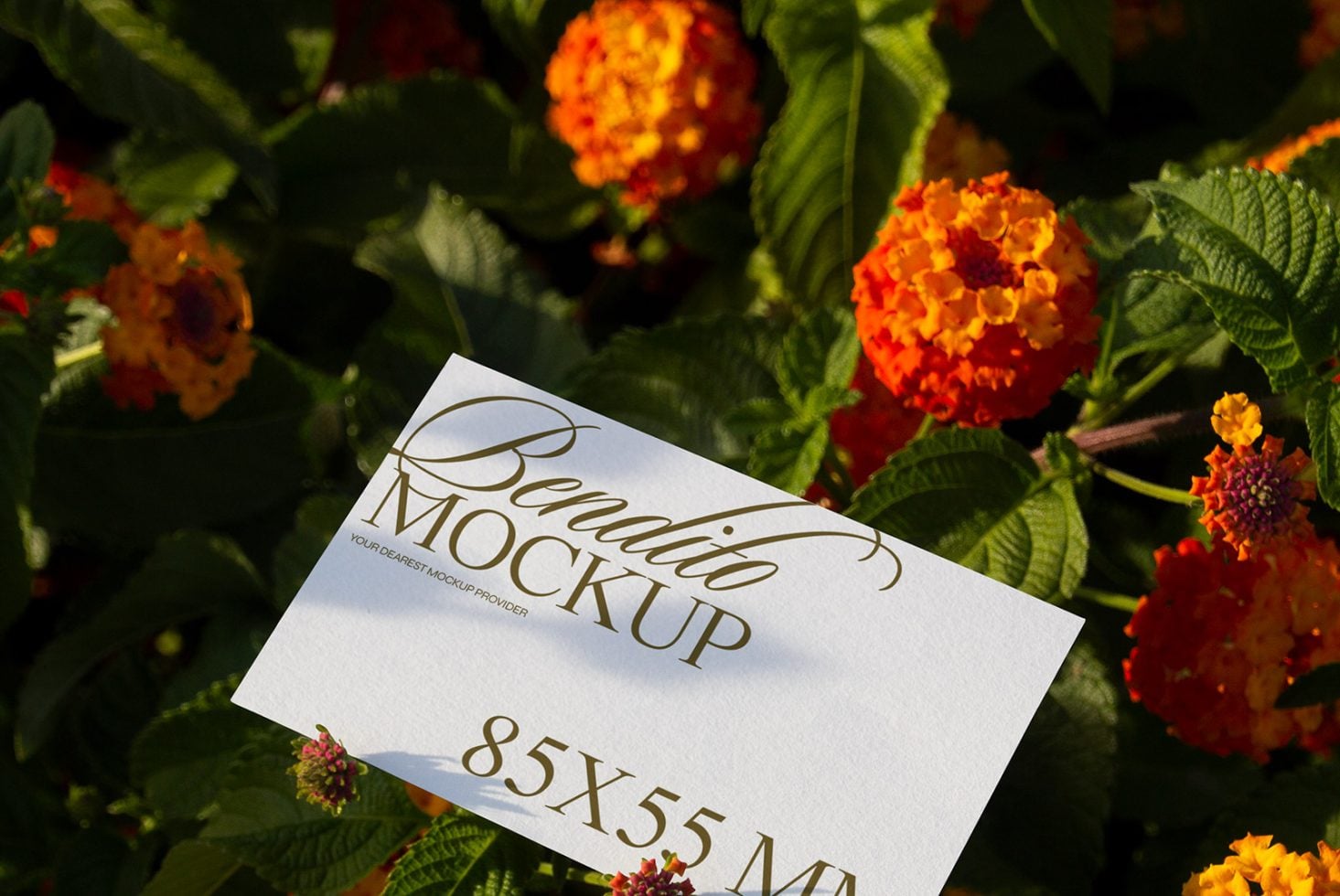 Business Card D 06 Mockup preview 2