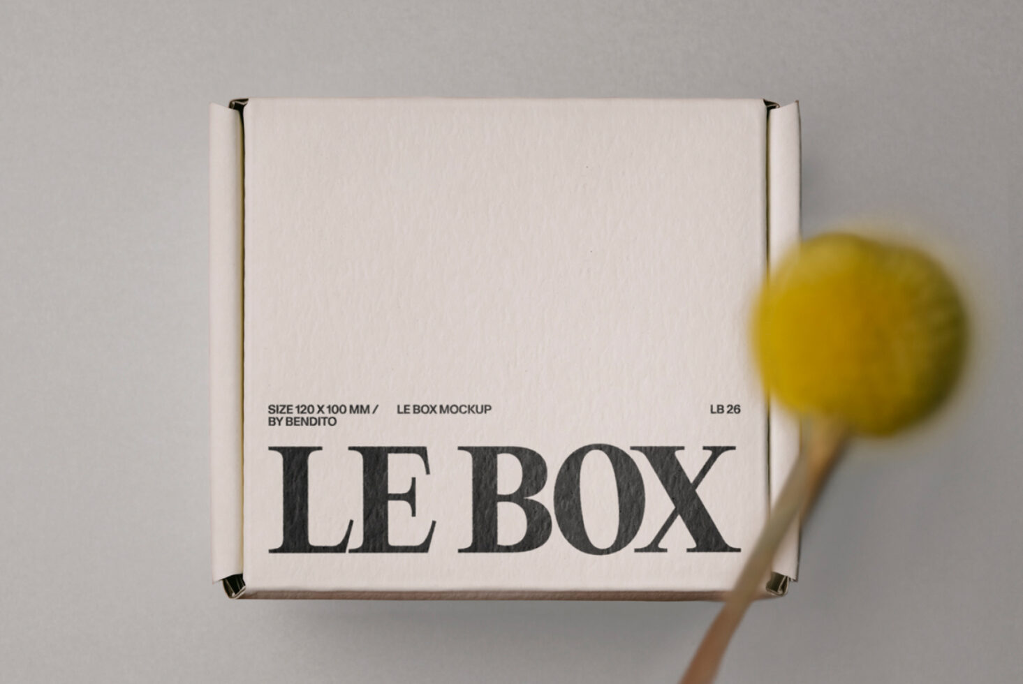 Le Box LB26W03 Mockup preview 2