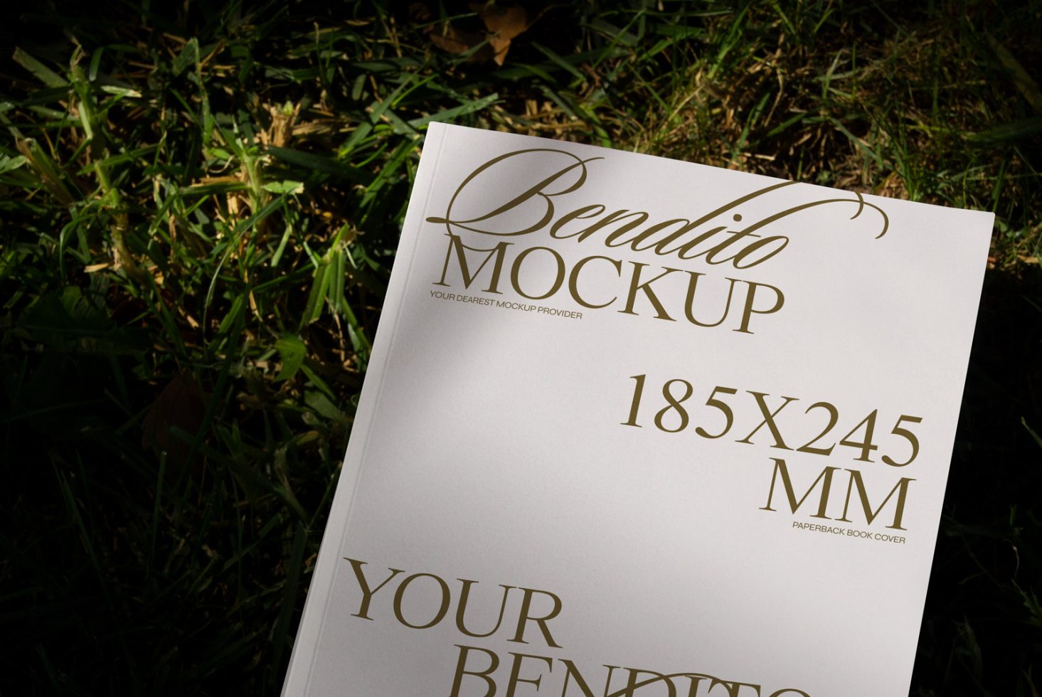 Book D 03 Mockup preview 2