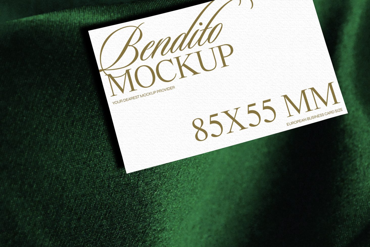 Business Card F 03 Mockup preview 2