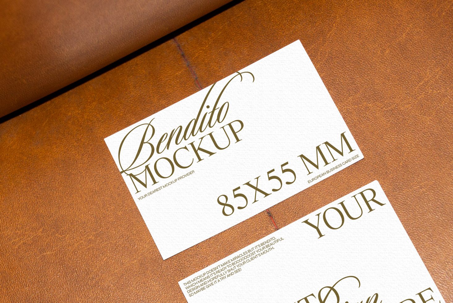 Business Card F 01 Mockup preview 2