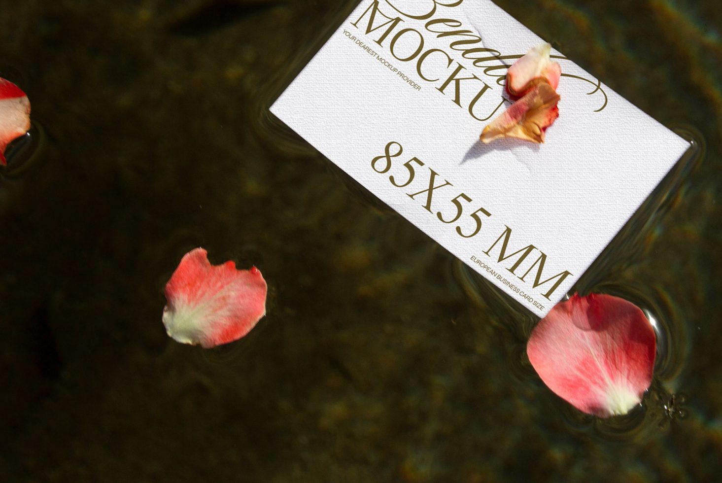 Business Card D 02 Mockup preview 2