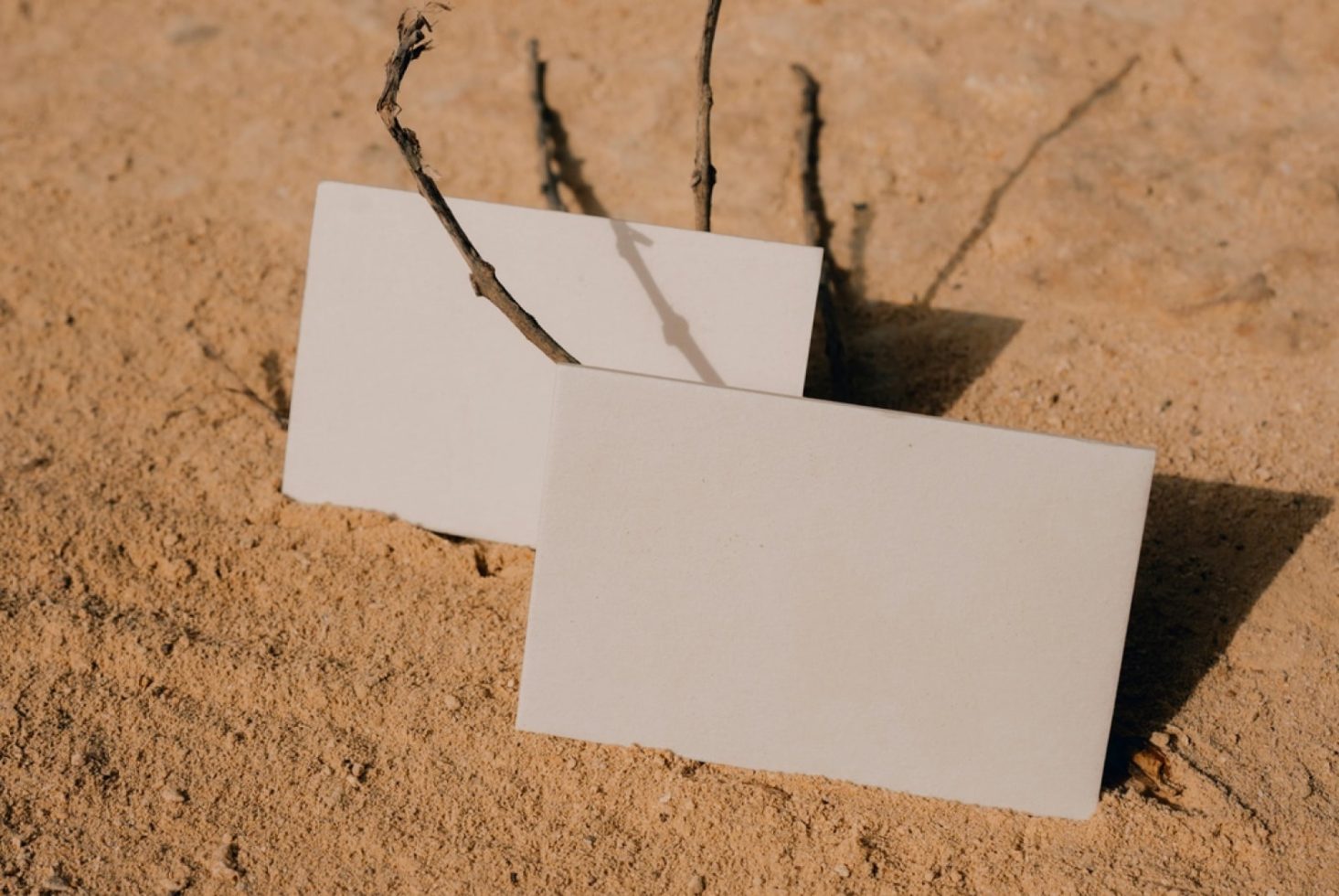 Business Card BL04 Mockup preview 2