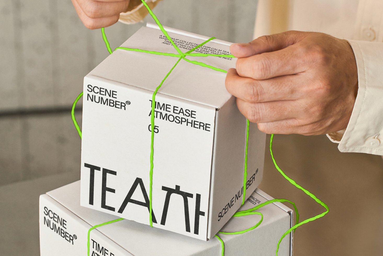 S#5 TEA Box 01 Mockup preview 2