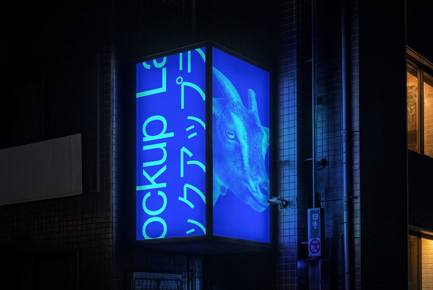 Lightbox 01ML Mockup preview 2