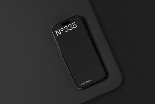 N°335