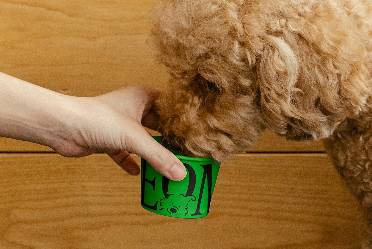 S#1 EoM Paper Cup 05 Mockup