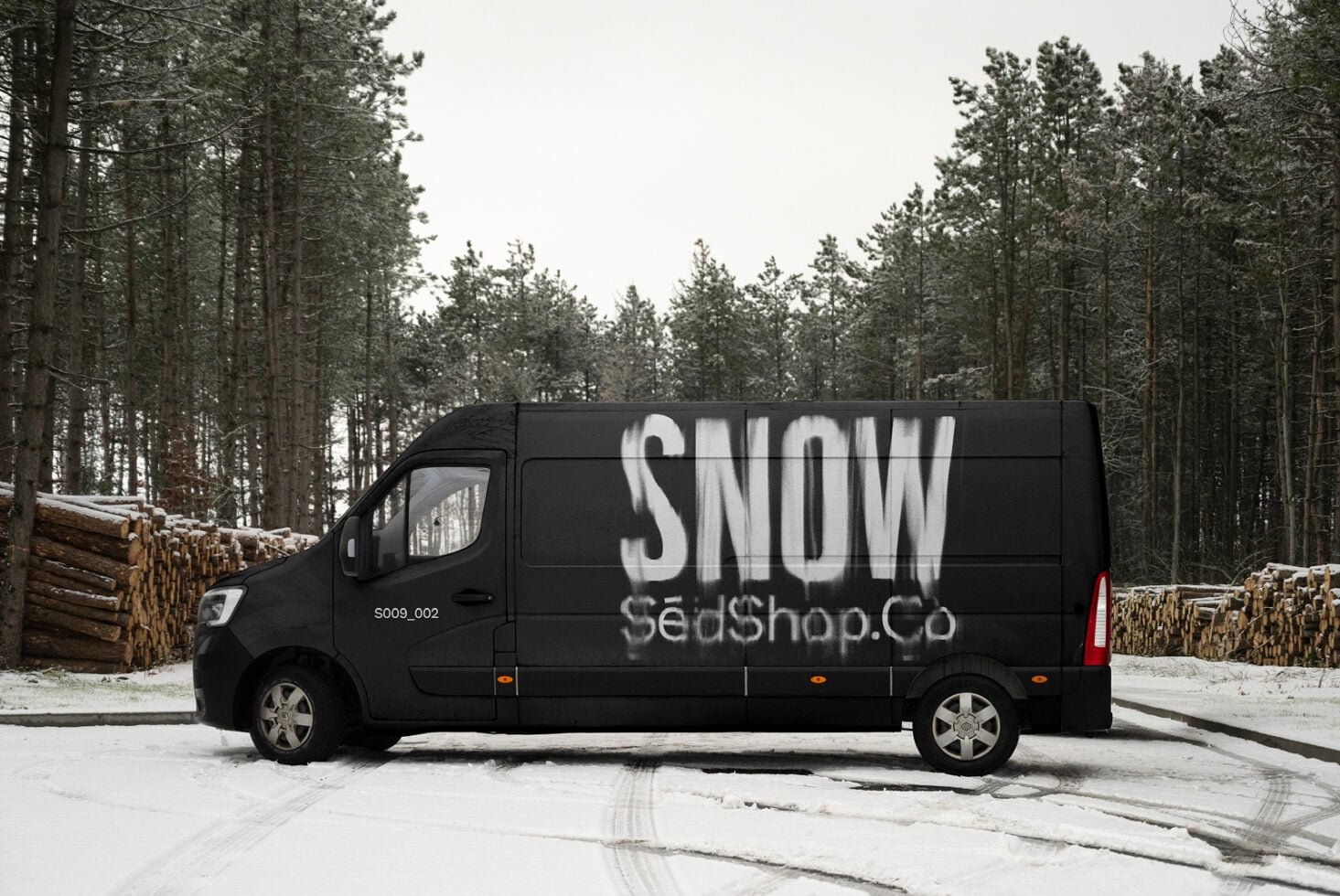 Van Mockup S009-002 preview 3