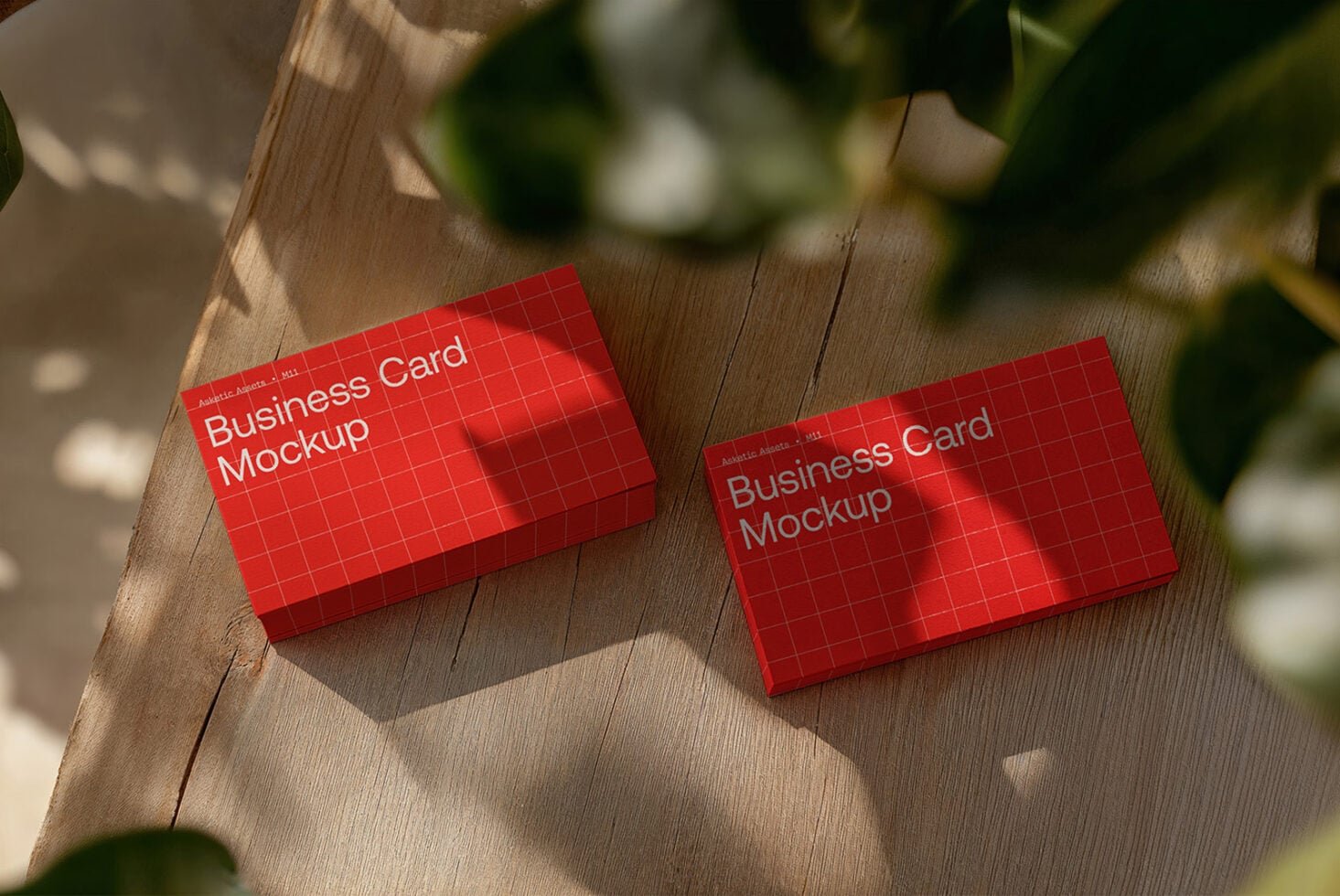 Business Card Mockup M11