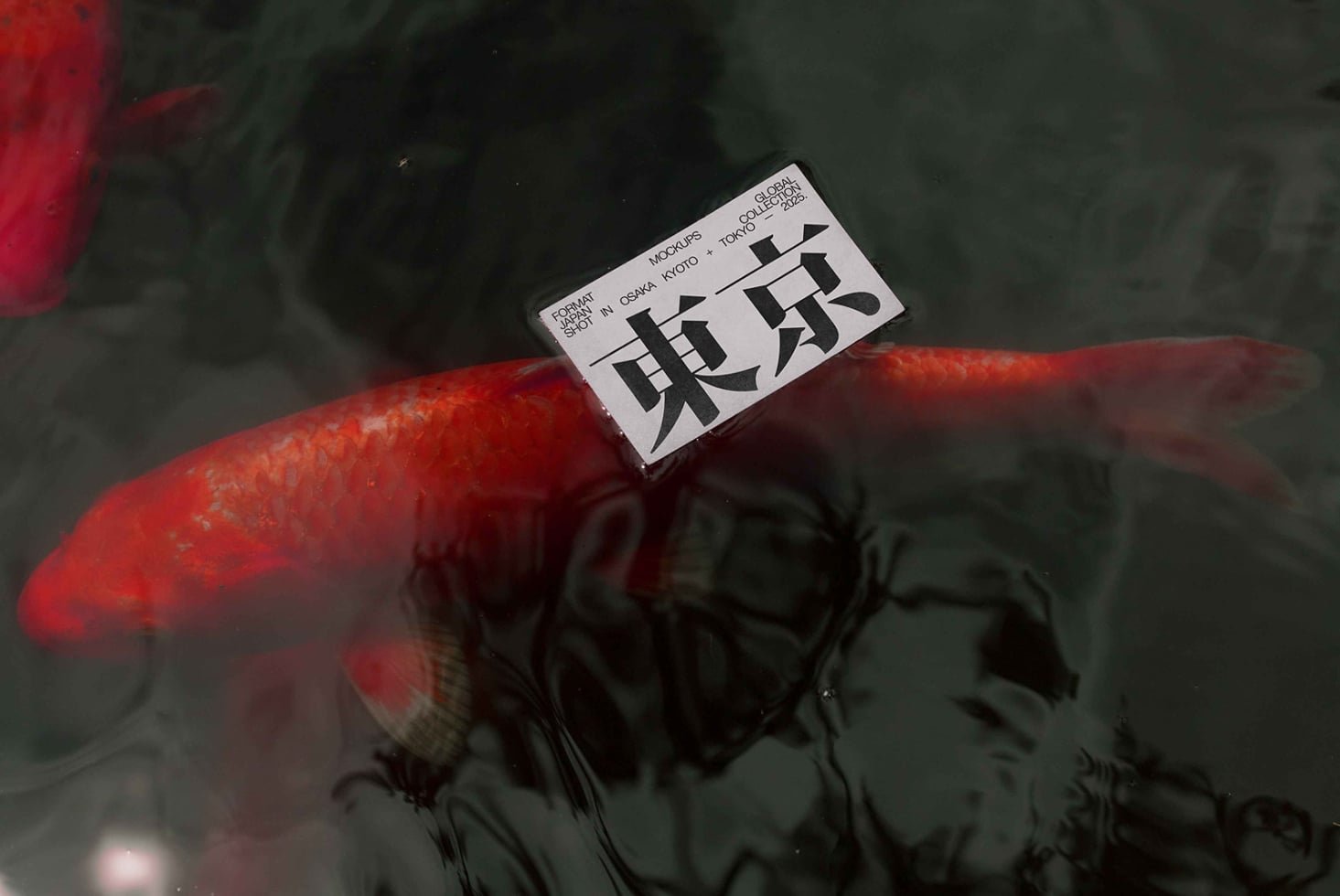 JAPAN BUSINESS CARD 01