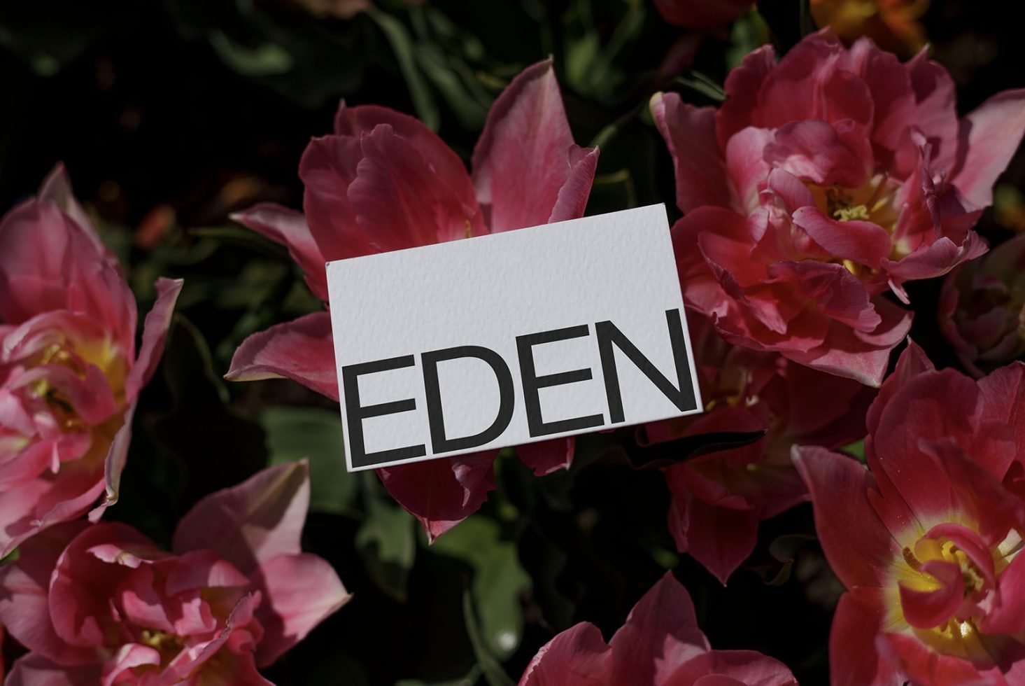 Business Card Mockup Eden 06