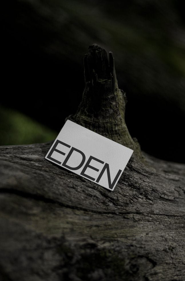 Business Card Mockup Eden 10