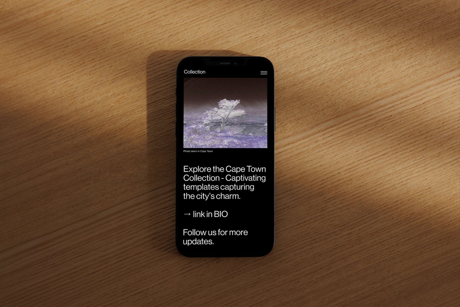 iPhone Mockup 014