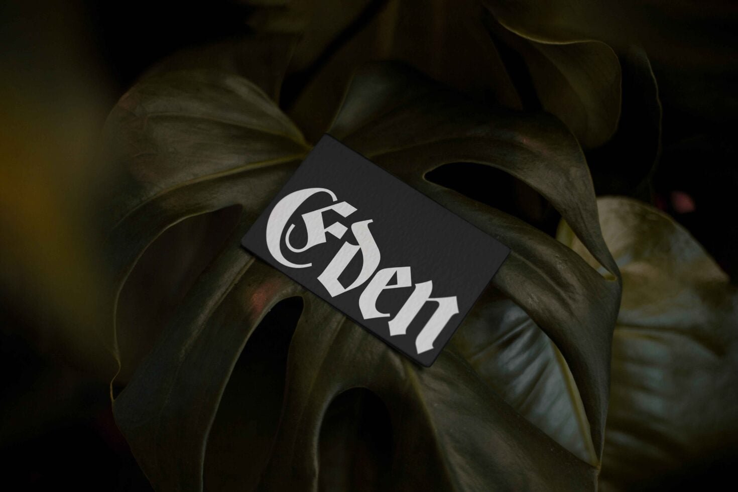EDEN 02 BUSINESS CARD MOCKUP 05
