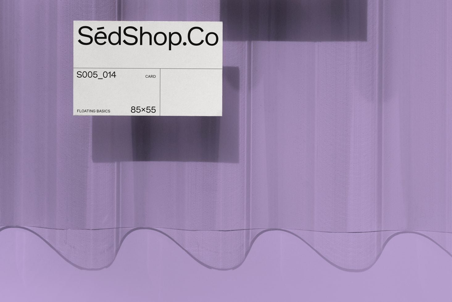 Business Card S05 014 Mockup preview 2