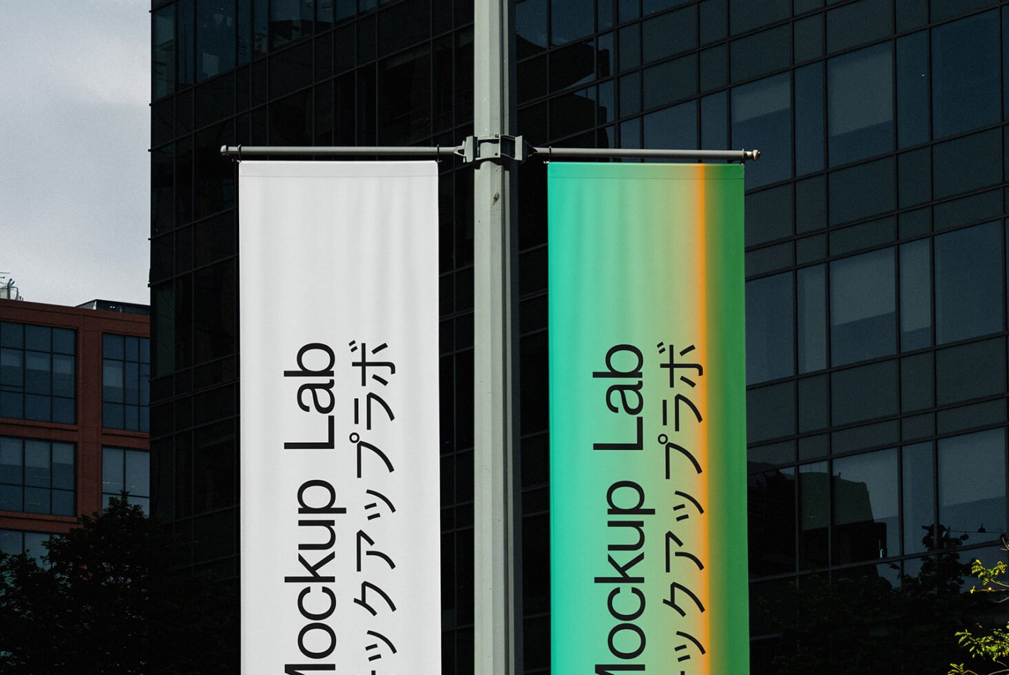 Flag 02ML Mockup preview 2
