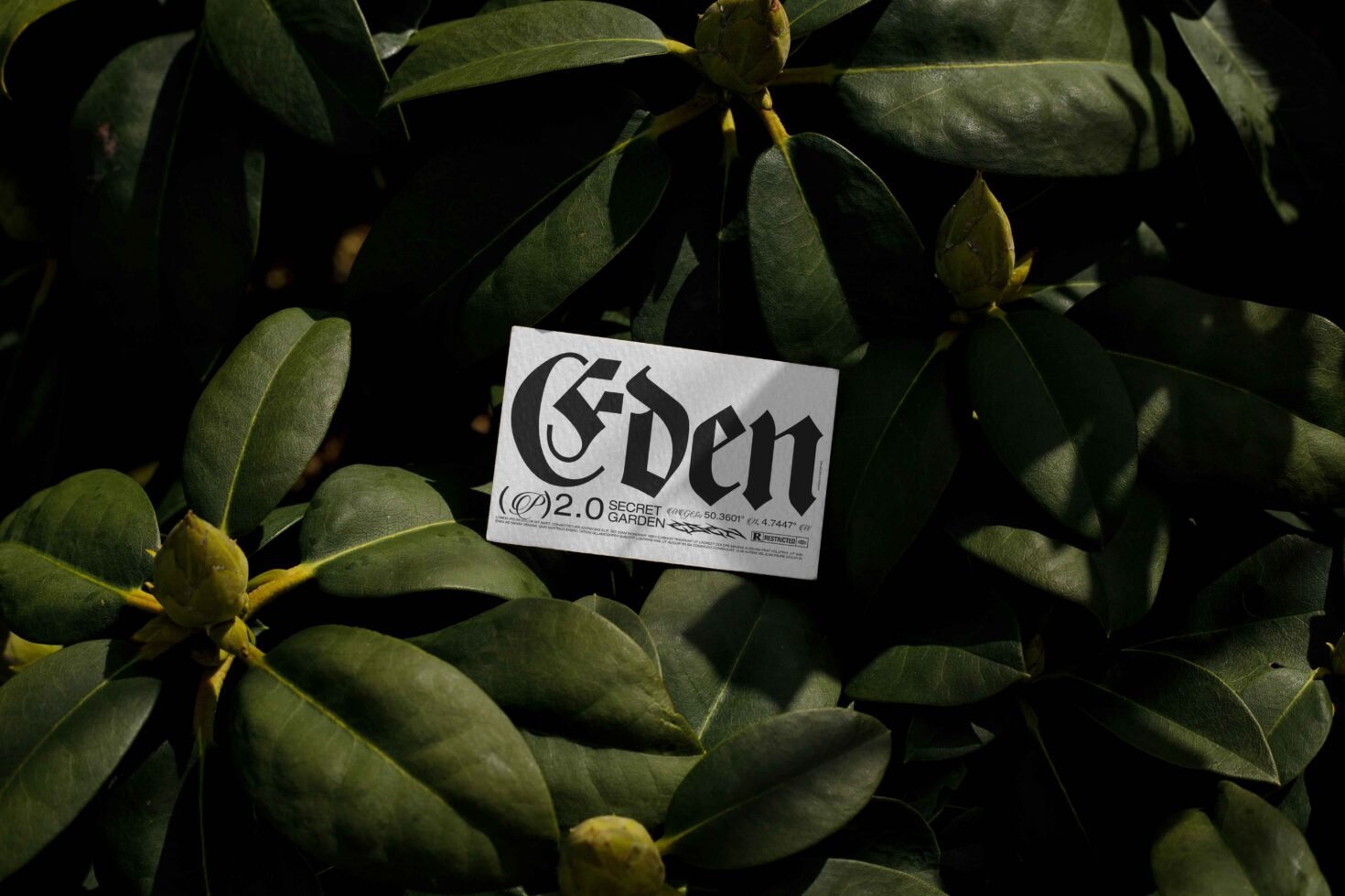 EDEN 02 BUSINESS CARD MOCKUP 07