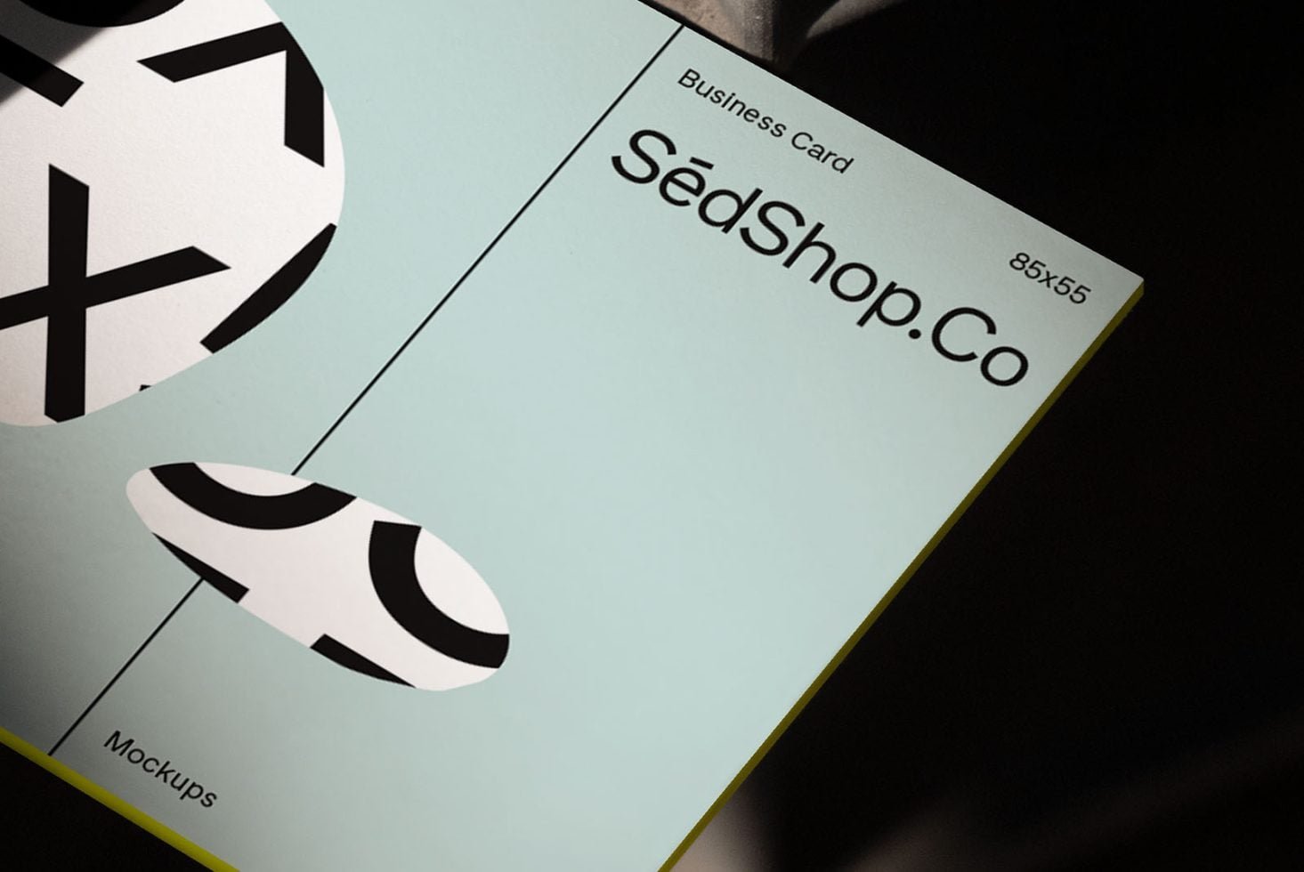 Business Card S3 002 Mockup preview 2