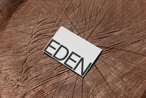 Business Card Mockup Eden 12