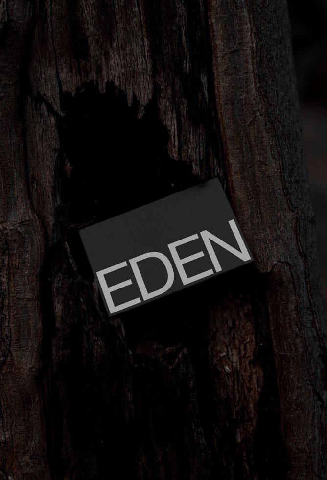 Business Card Mockup Eden 04