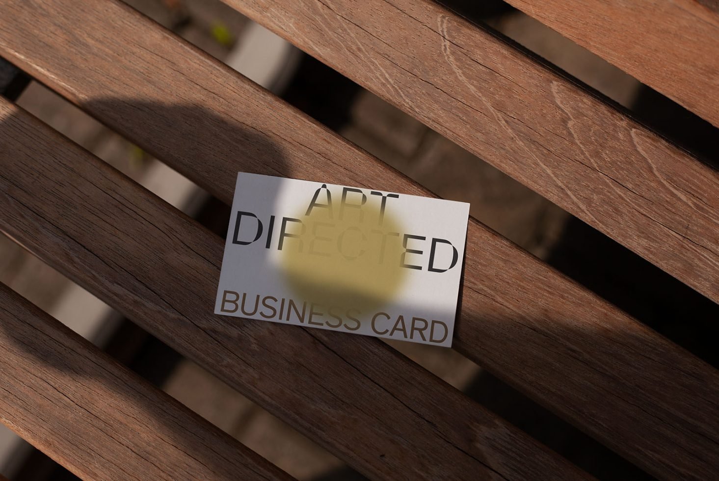 Business Card C02 Mockup 011