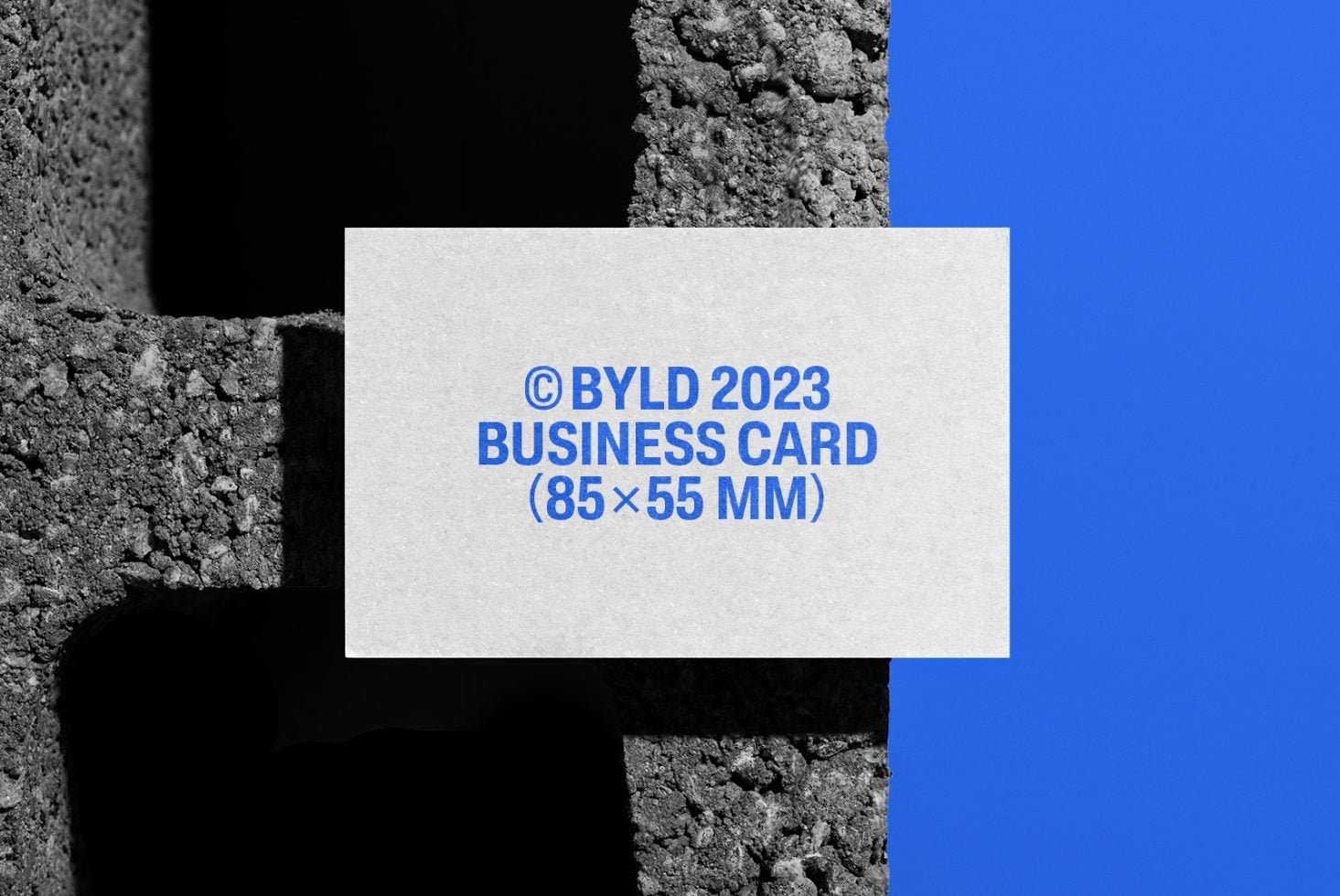 Business Card 09 Mockup preview 2