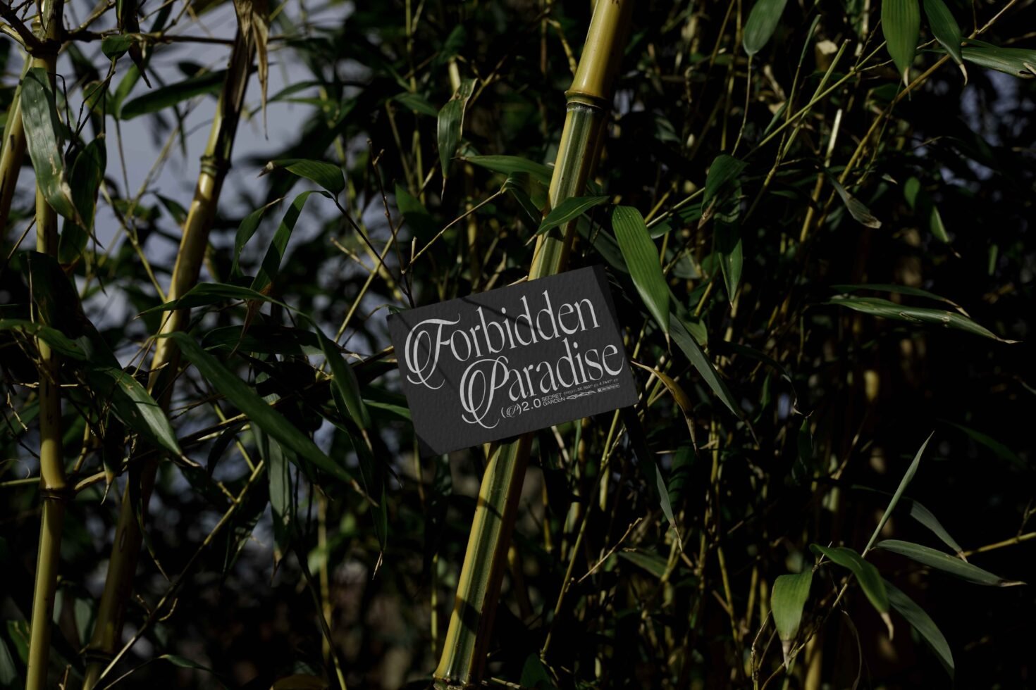 EDEN 02 BUSINESS CARD MOCKUP 14