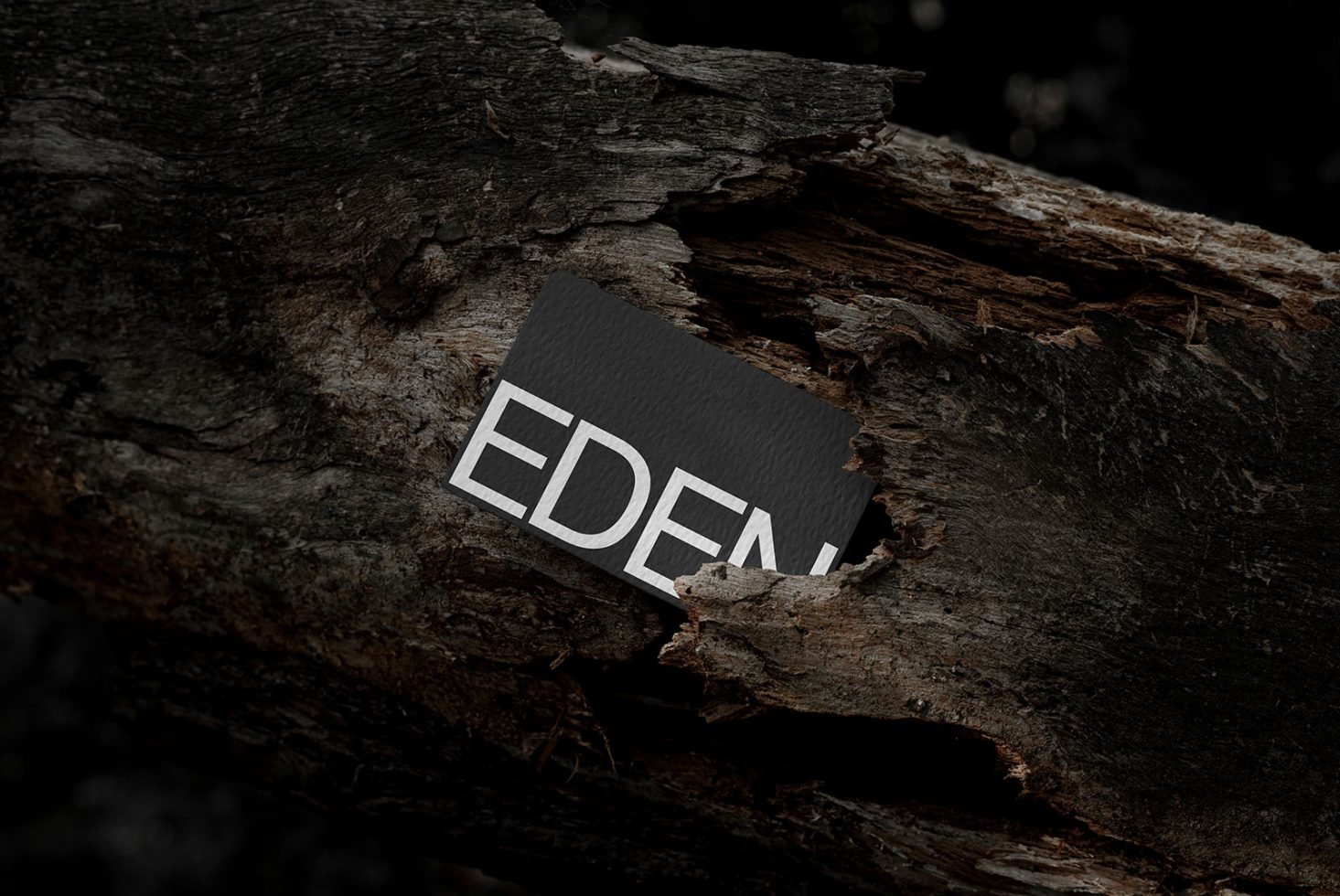 Business Card Mockup Eden 09