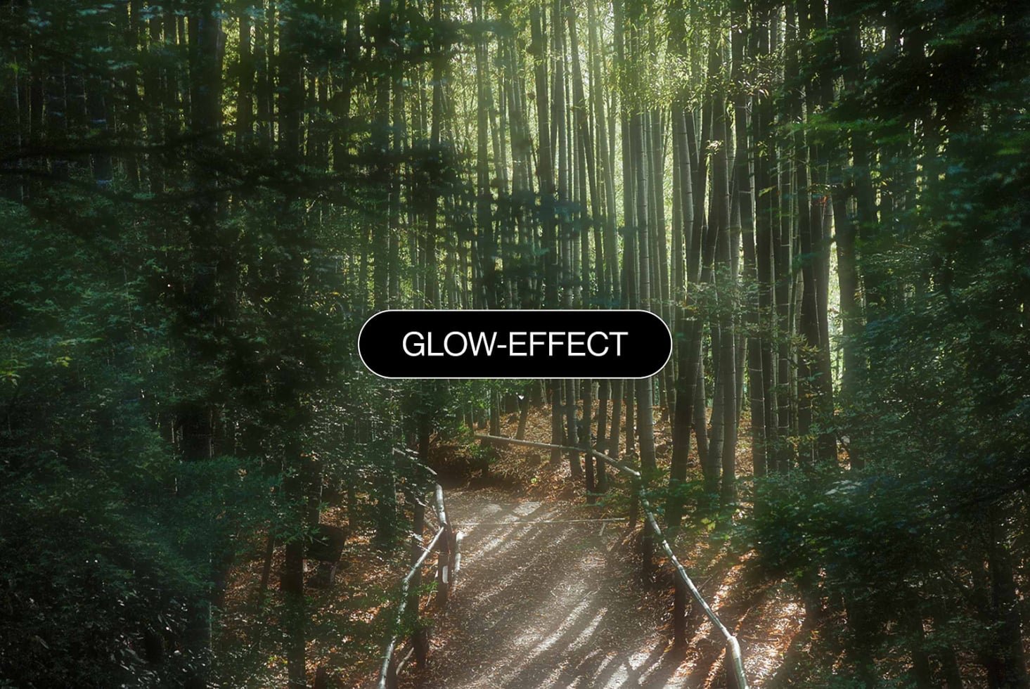 Photoshop Glow Effect