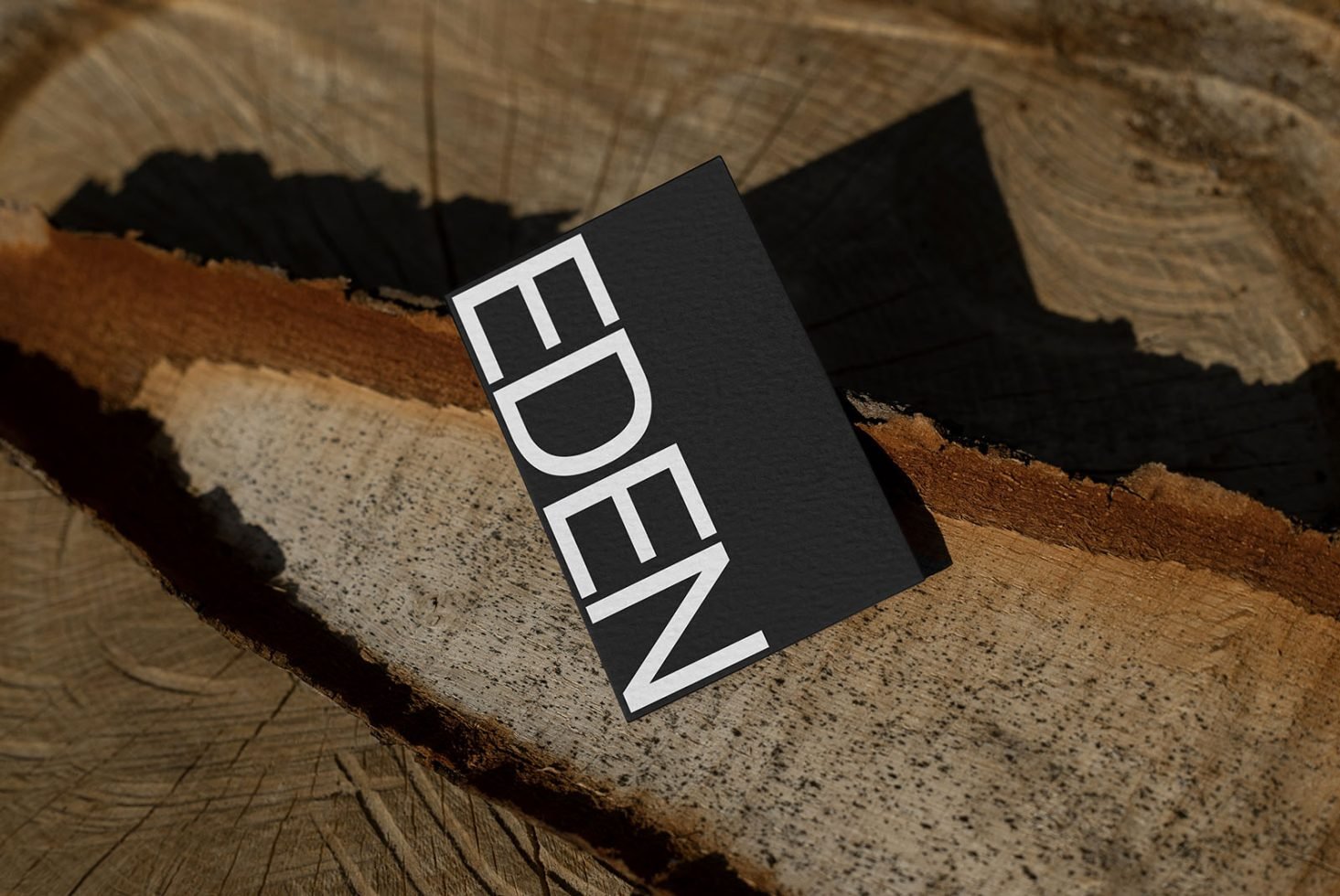 Business Card Mockup Eden 11