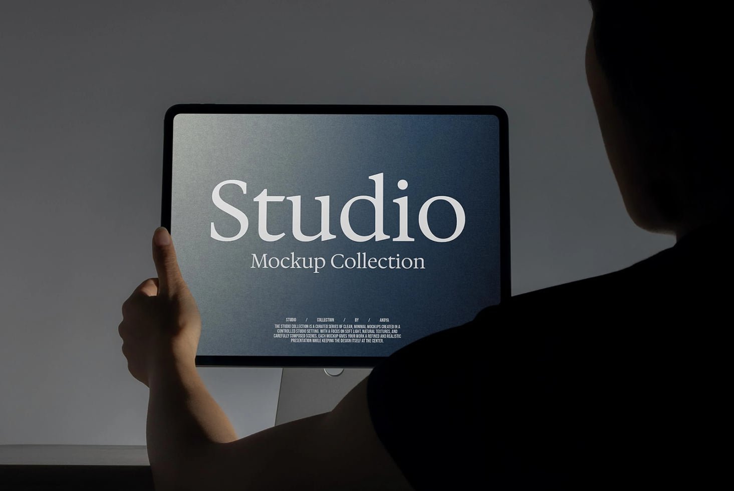 iPad Mockup 019