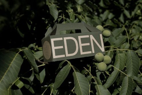 Small Eco Box Mockup Eden 01