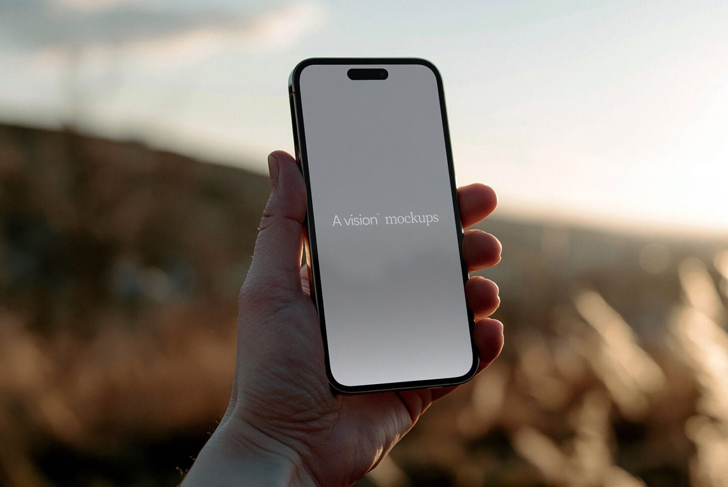 Phone 2