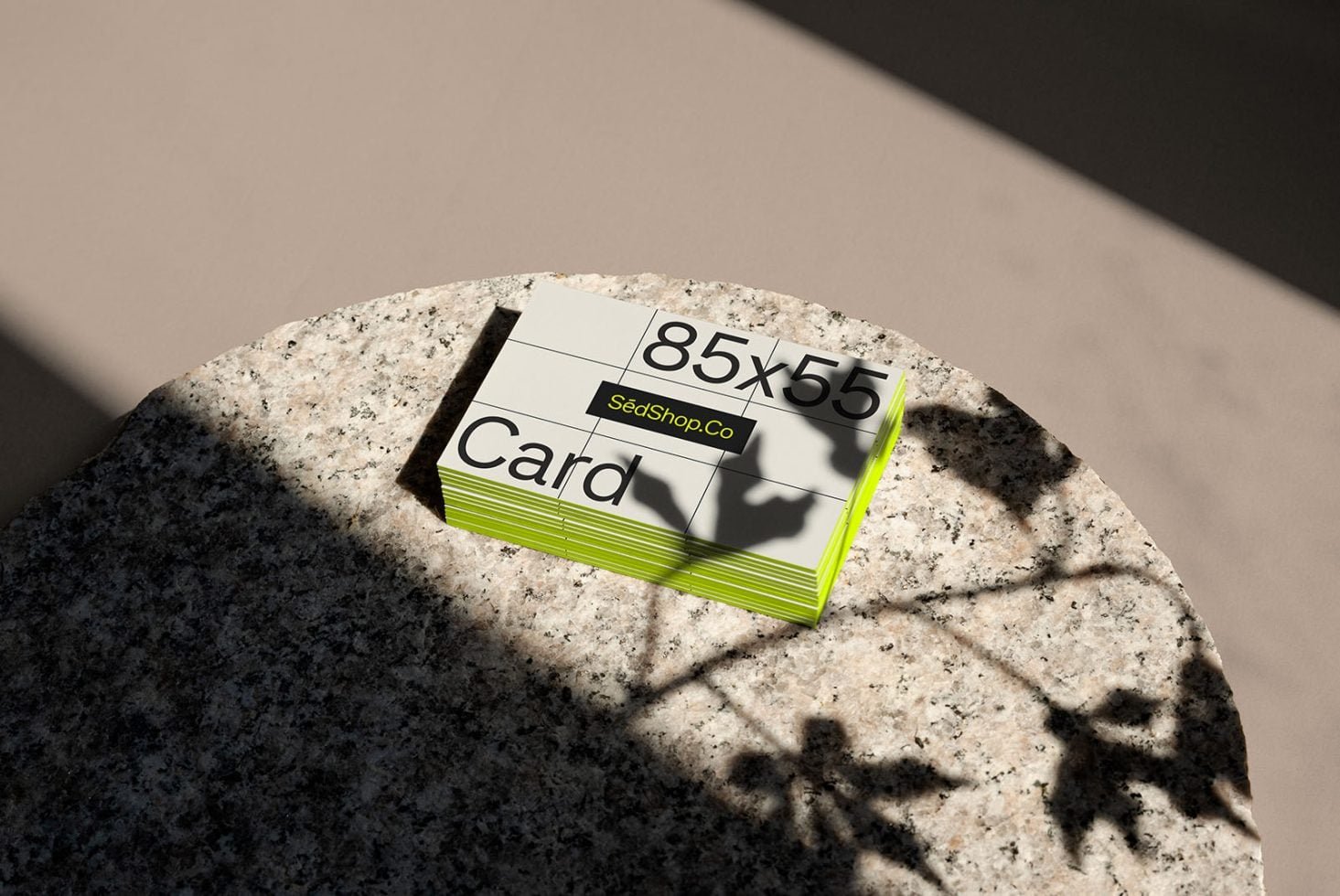 Business Card S1 001 Mockup