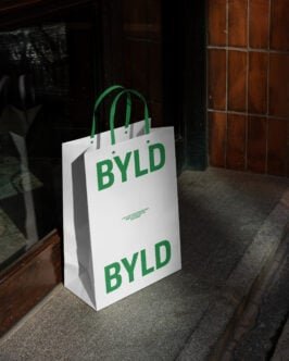 Paper Bag 05 Mockup