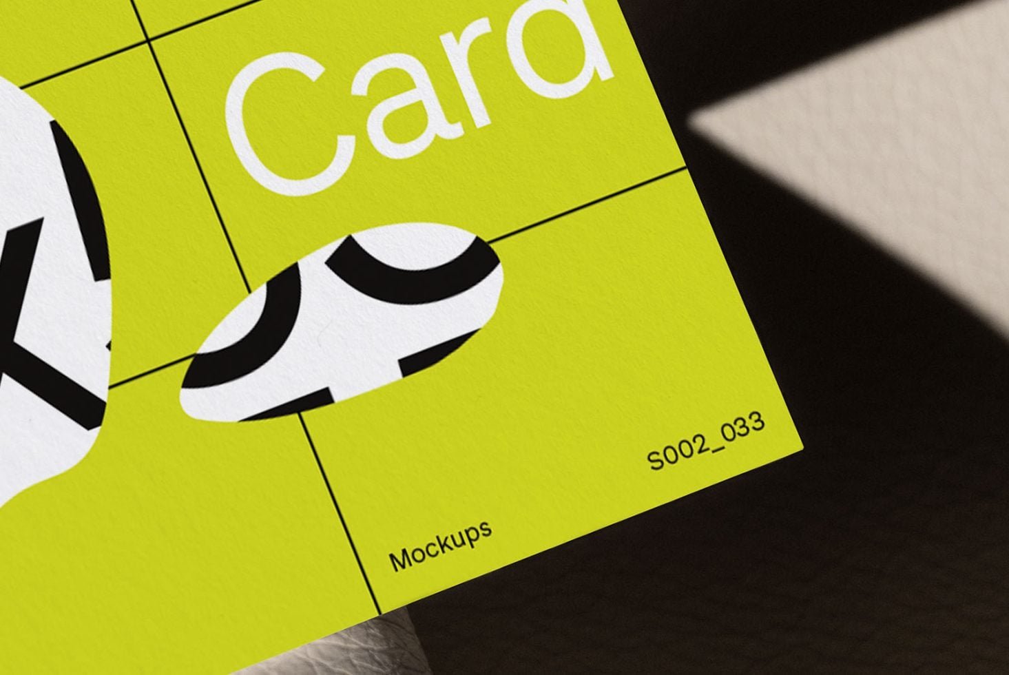 Business Card S2 033 Mockup preview 2