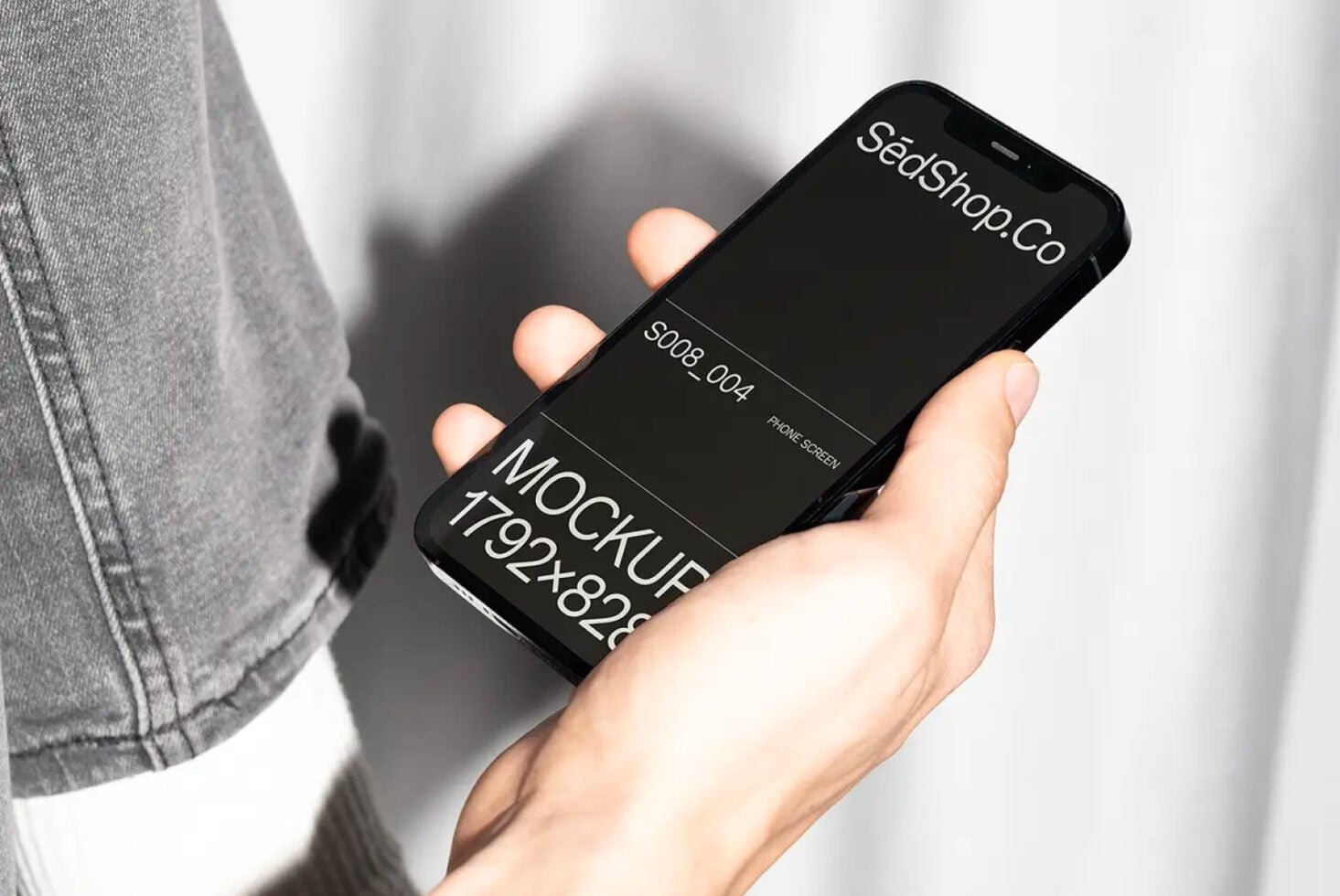 iPhone Mockup S008-004 preview 2