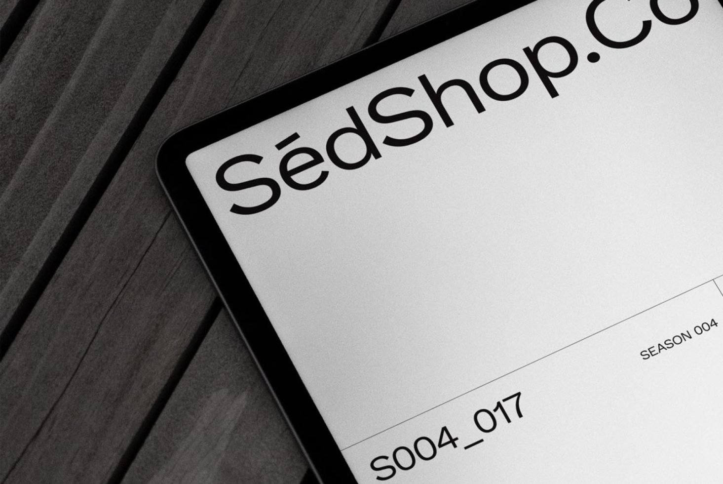 iPad S04 017 Mockup preview 2