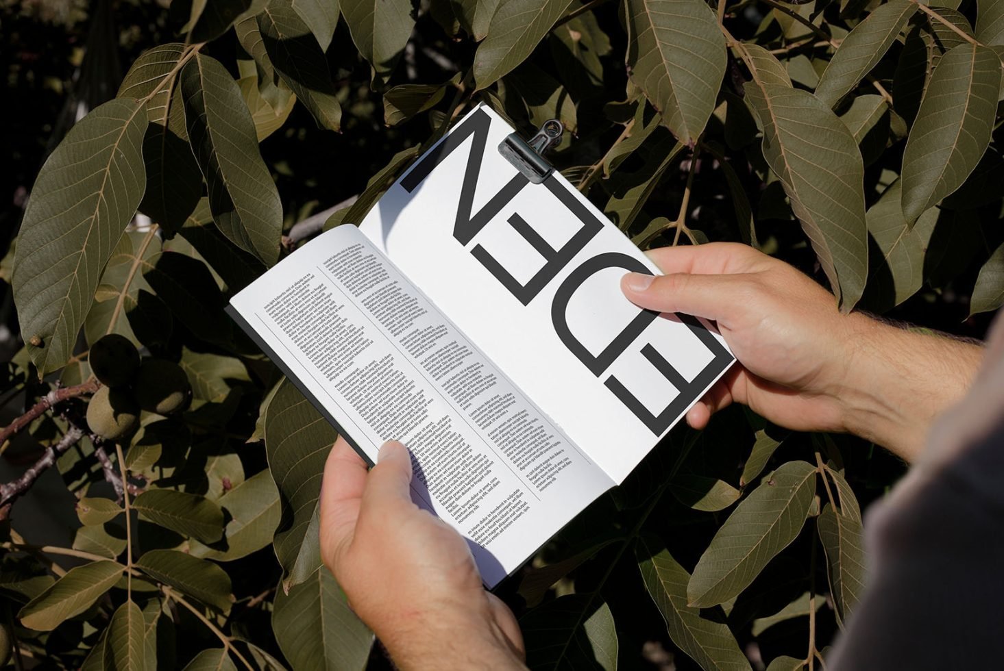 Book Mockup Eden 04 preview 1