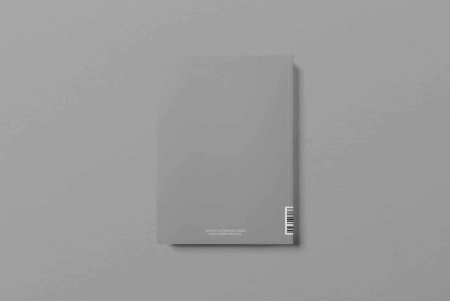N°309 preview 2