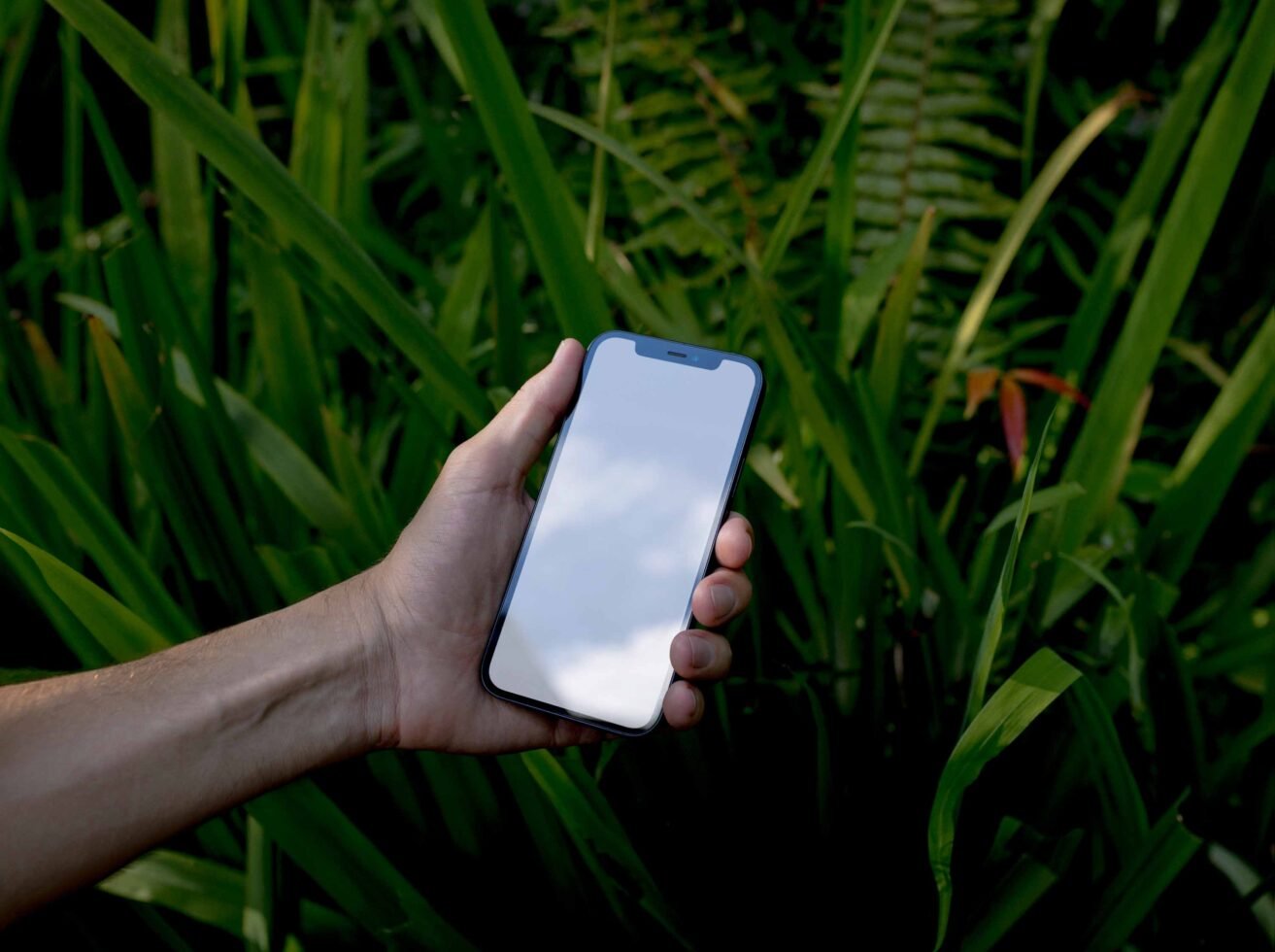 iPhone Mockup 024 preview 3