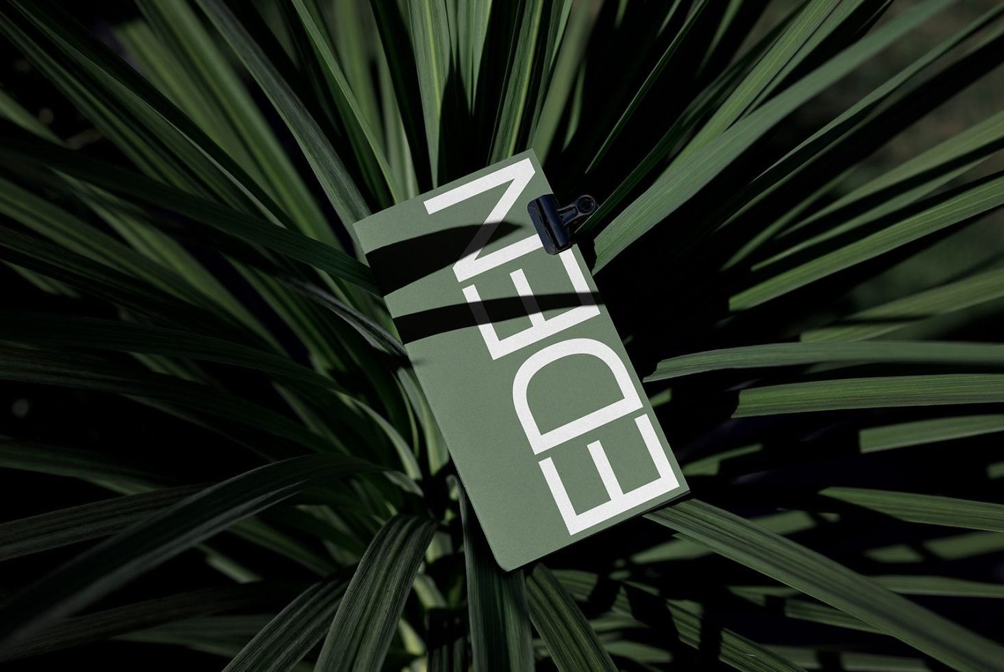 Book Mockup Eden 05 preview 1
