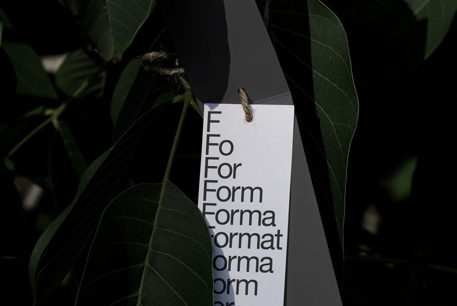 Tag Mockup Eden 01 preview 2