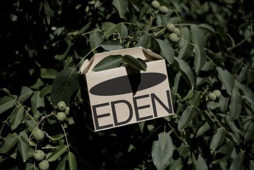 Large Eco Box Mockup Eden 01