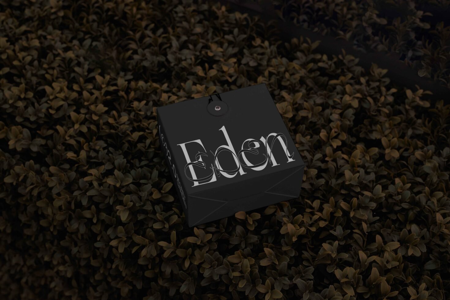 EDEN 02 BOX MOCKUP 03