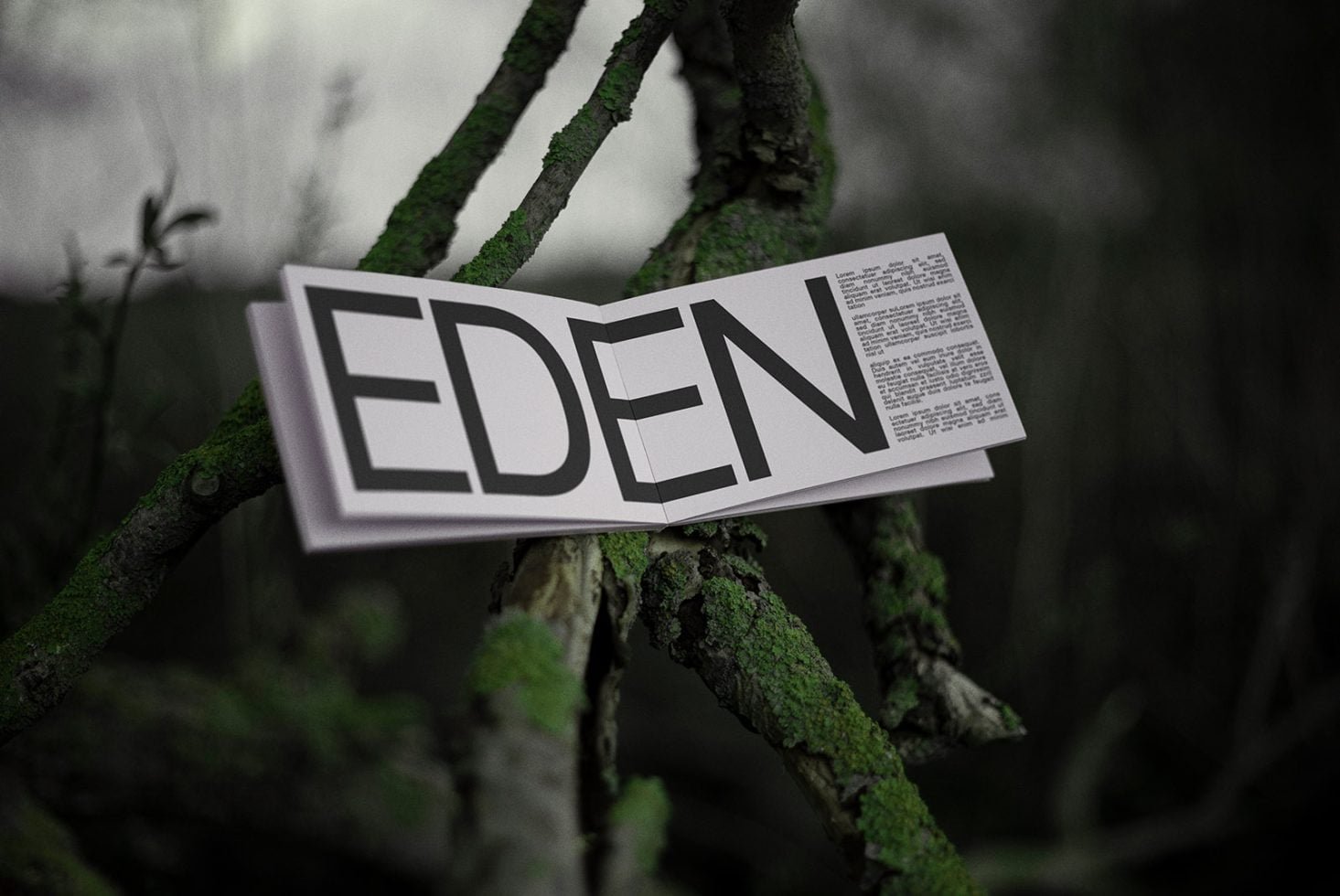Book Mockup Eden 01 preview 3