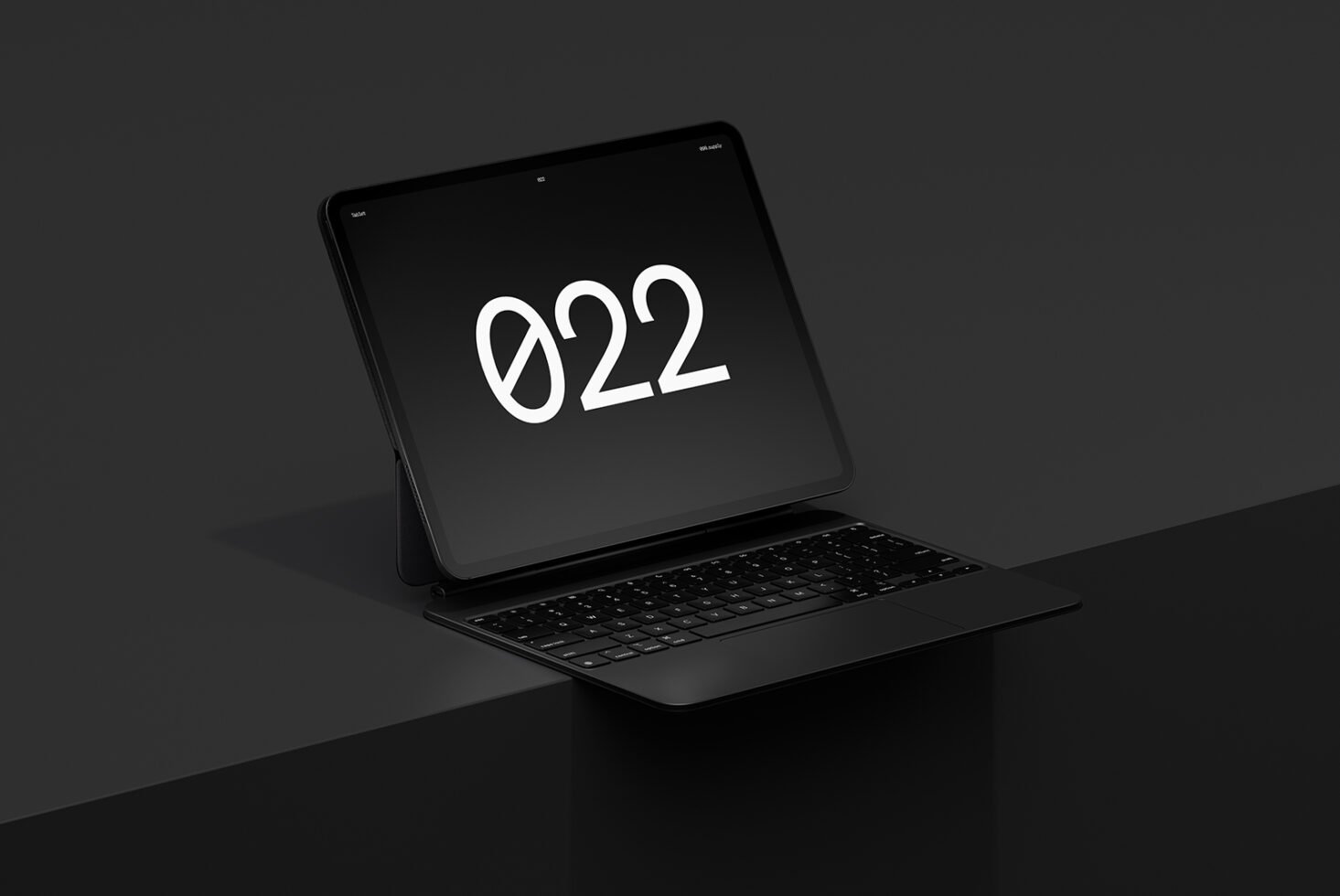 Tablet (iPad Pro)
