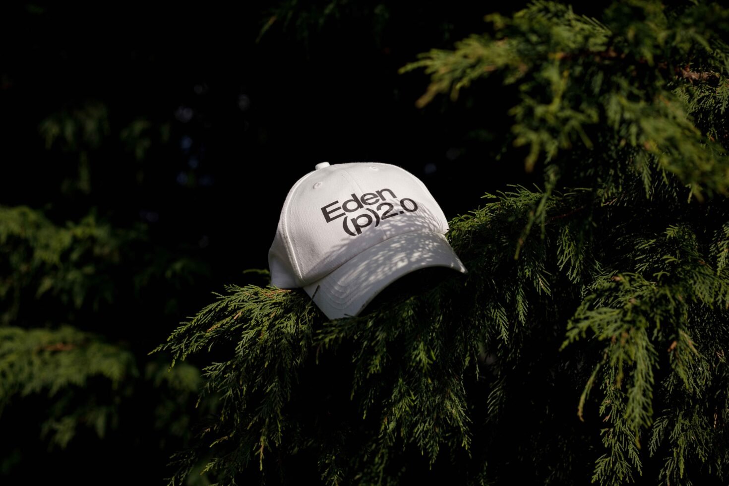 EDEN 02 CAP MOCKUP 06 preview 2